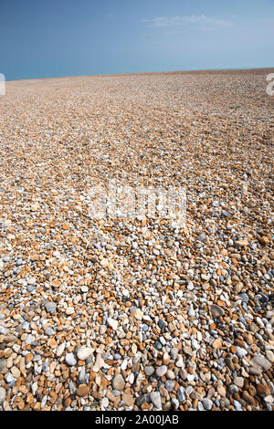 Sur la plage de galets galets à Dungeness, dans le Kent, UK Banque D'Images