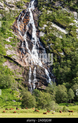 Steall Cascade, célèbre 120-m., 2e plus haute chute étagée en Ecosse, peut être vue à partir d'un chemin gorge Banque D'Images