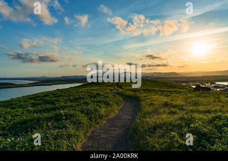 Chemin sur la colline parlementaire le Muttonbird Island Nature Reserve, Coffs Harbour Banque D'Images