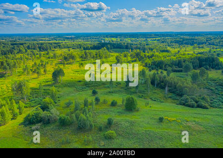 Vue de dessus de champs de couleur vert frais Banque D'Images