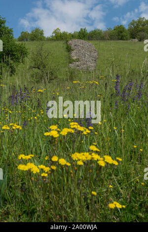 Paysage avec bar en pierre, vallée de Kocher, kuenzelsau, région Hohenlohe, baden-Württemberg, Heilbronn, Allemagne, Franconie-K Banque D'Images