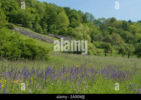 Paysage avec bar en pierre, vallée de Kocher, kuenzelsau, région Hohenlohe, baden-Württemberg, Heilbronn, Allemagne, Franconie-K Banque D'Images