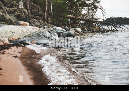 Arbre tombé, des rochers et de la plage sur la côte de la mer Baltique, réserve naturelle (Bjorno Bjorno Naturreservat), archipel de Stockholm, Suède Banque D'Images