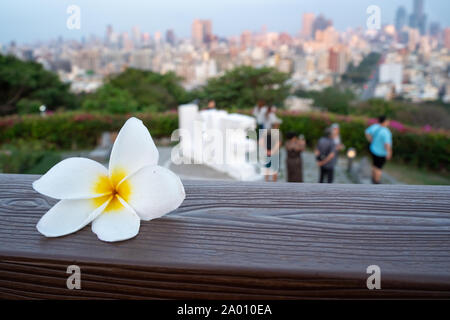 Kaohsiung, Taiwan : une belle fleur fleur sur une balustrade en face du mot amour en lettres géantes au Sanctuaire des Martyrs avec de nombreux touristes Banque D'Images