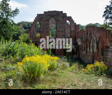 Ruines du monastère Boitzenburg. Ruine de monastère cistercien détruit en guerre de Trente Ans en 1637 dans la réserve naturelle. Maintenant un bâtiment protégé Banque D'Images