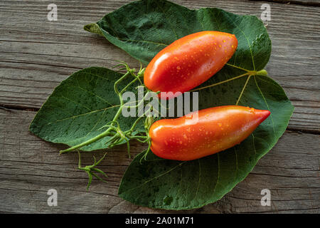 Matières premières fraîches délicieuses tomates de San Marzano Italien Banque D'Images