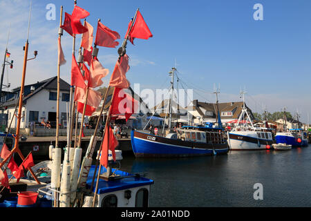 Chalutier poisson à Rostock Harbour, l'île de Hiddensee, mer Baltique, Mecklembourg Poméranie occidentale, l'Allemagne, de l'Europe Banque D'Images