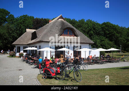 Kloster, Restaurant SCHILLINGS HAFENAMT, Hiddensee, île de la mer Baltique, le Mecklembourg Poméranie occidentale, l'Allemagne, de l'Europe Banque D'Images