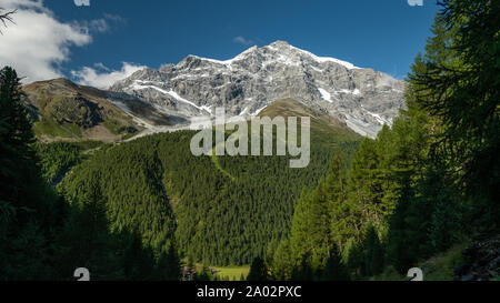 L'Ortler Alpes près de Sulden (Tyrol du Sud, Italie) lors d'une journée ensoleillée en été Banque D'Images