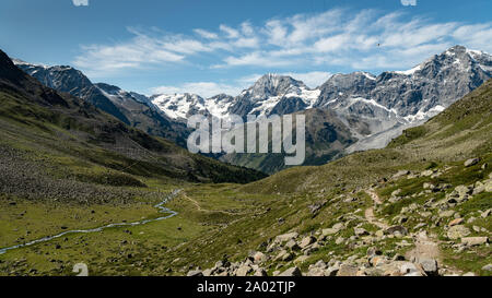 L'Ortler Alpes près de Sulden (Tyrol du Sud, Italie) lors d'une journée ensoleillée en été (Ortler, Koenigspitze, Gran Zebru) Banque D'Images