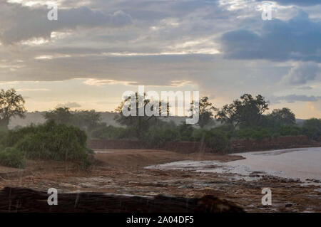 Orage sur la rivière Ewaso Ng'iro dans la savane du Parc de Samburu dans le centre du Kenya Banque D'Images