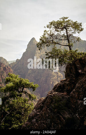 Les sommets de montagnes de granit angulaire et de crêtes paysage de Capu Casconi 1091m près de Ota / Région de Porto, Corse-du-Sud, Corse - montagne paysage arbres Banque D'Images