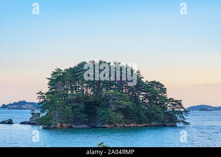 Matsushima Bay dans crépuscule, belles îles couvertes de pins et de roches. L'une des trois vues du Japon Banque D'Images