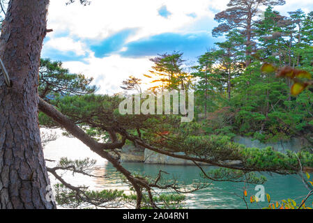 Matsushima Bay dans crépuscule, belles îles couvertes de pins et de roches. L'une des trois vues du Japon Banque D'Images