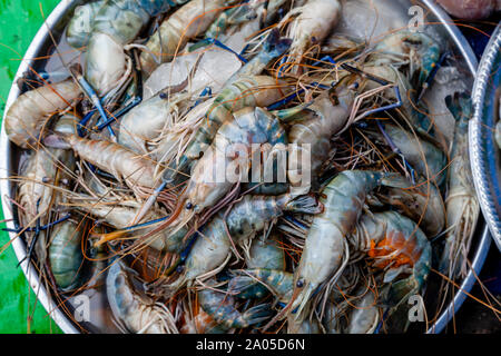 Crevettes fraîches à vendre à Mingalar, marché Nyaung Shwe, le lac Inle, l'État de Shan, Myanmar. Banque D'Images