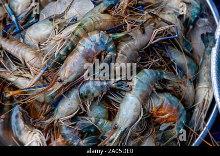 Crevettes fraîches à vendre à Mingalar, marché Nyaung Shwe, le lac Inle, l'État de Shan, Myanmar. Banque D'Images