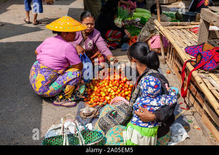 Les femmes des minorités ethniques l'achat et la vente des tomates au marché Mingalar, Nyaung Shwe, le lac Inle, l'État de Shan, Myanmar. Banque D'Images