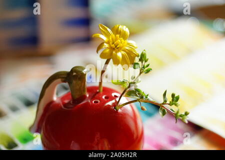Petits choux vert et jaune fleur dans un vase rouge, macro photo, selective focus Banque D'Images