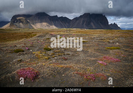 Sur la montagne Vestrahorn Stokksnes cape en Islande Banque D'Images