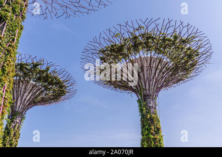 Singapour - Mars 22, 2019 : dans les jardins de la baie. Supertrees artificielle dans le jardin d'or sur fond de ciel bleu. Banque D'Images