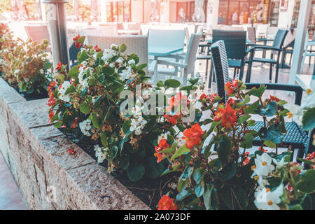 Vue sur la vieille rue confortable en Europe. Vue sur la rue dans un café traditionnel assis à l'extérieur décoré avec des fleurs de begonia Banque D'Images