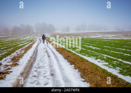 L'homme avec deux chiens marcher sur le chemin de terre dans la campagne en hiver. Avec les champs de blé vert couvert de la première neige Banque D'Images