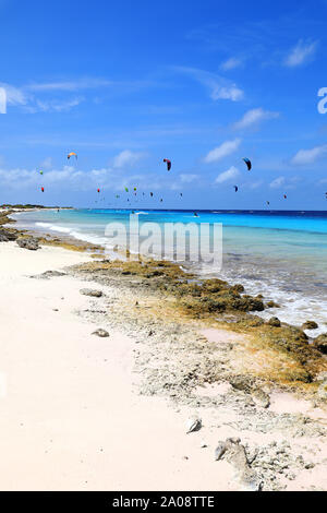 Kite Surf sur l'île de Bonaire dans les régions tropicales de la mer des Caraïbes Banque D'Images