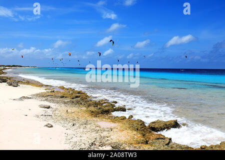 Kite Surf sur l'île de Bonaire dans les régions tropicales de la mer des Caraïbes Banque D'Images