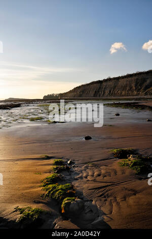 La plage de Lavernock point, pays de Galles Côte britannique Côte galloise en hiver Côte britannique Banque D'Images