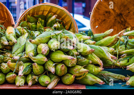 Épis de maïs dans leur spathes sont en exposition et en vente à un marché agricole. Banque D'Images