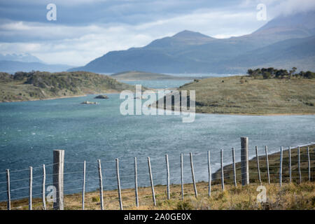 Câblage sur la côte du canal de Beagle au sud de la Patagonie, Argentine Banque D'Images