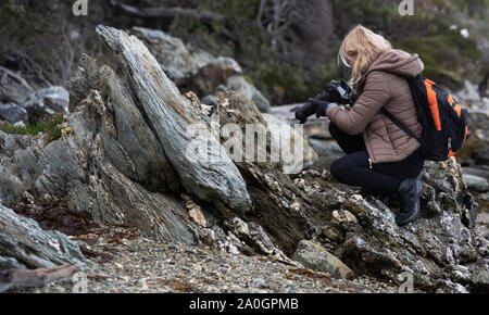 Prise sur la côte de la baie Lapataia dans le parc national de Tierra del Fuego Banque D'Images