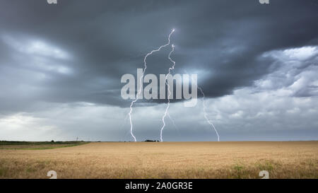 Tempête spectaculaire de la technologie Thunderbolt et d'un champ de blé. La Pampa Argentine Banque D'Images