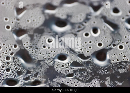 Macro de l'humidité sous la matière plastique. Focus sélectif. Banque D'Images