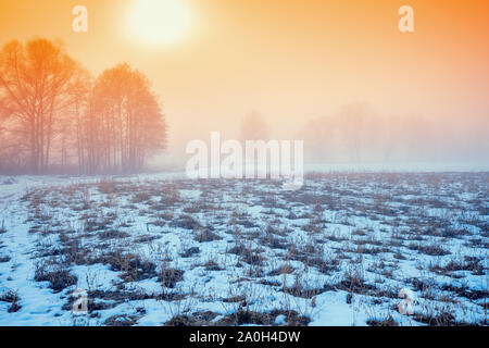 Début matin brumeux dans la campagne environnante. Le soleil brille à travers le brouillard. Le domaine couvert par la première neige. Paysage avec la lumière orange magique. Tr Banque D'Images