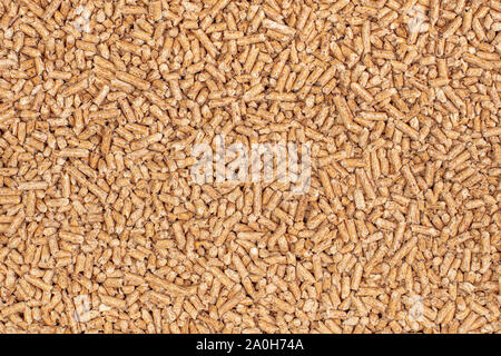 Détail de multiples granulés bois utilisé comme combustible naturel pour alimenter les chaudières et les poêles. Banque D'Images