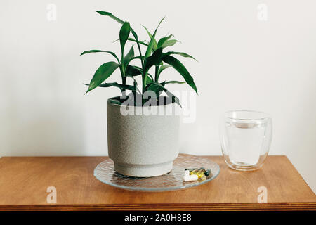 Les compléments alimentaires, additifs biologiquement actifs. Omega 3, la spiruline, les gélules de magnésium,chlorophylle et verre d'eau sur la table en bois. Matin d'art. Banque D'Images