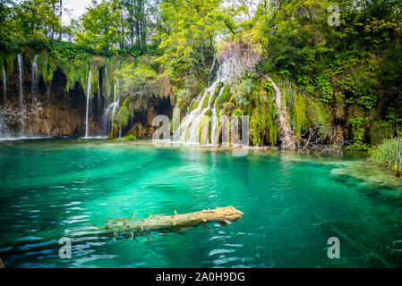 Cascades incroyables avec de l'eau claire comme du cristal dans la forêt dans le parc national des lacs de Plitvice, Croatie. Nature Paysage Banque D'Images