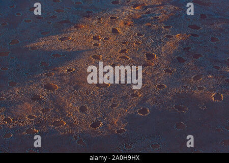 Des ronds, également connu sous le nom de cercle de fées, Elf, elf cercle ou anneau anneau] pixie, Parc National Namib Naukluft, Namibie, Afrique Banque D'Images