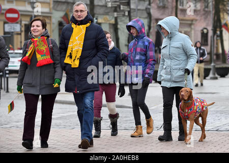 Vilnius, Lituanie - 16 février : personnes non identifiées se sont réunis avec les drapeaux dans une célébration de la Journée national de l'indépendance de la Lituanie sur Februar Banque D'Images