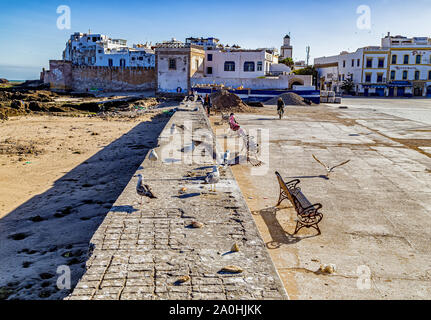 Vue magnifique d'Essaouira rempart avec les mouettes et les gens au repos à tôt le matin. Banque D'Images