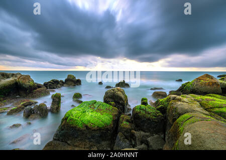 Les algues vertes sur la plage des roches dans l'aube avec ciel dramatique d'accueillir le nouveau jour