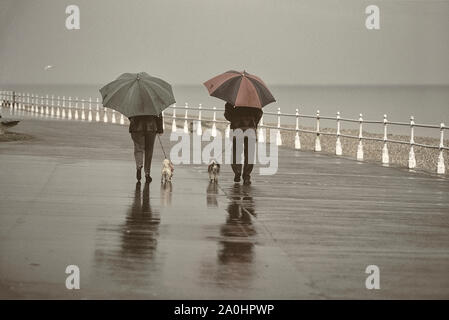 Les promeneurs de chiens sous la pluie. Promenade de Bexhill, East Sussex, England, UK Banque D'Images