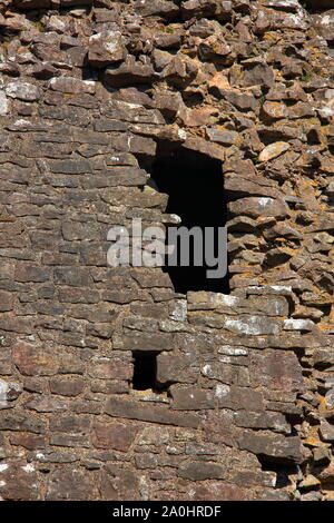 Les ruines du château de Ogmore bien connue à côté de la rivière Ogmore qui a célèbre tremplin pour faire traverser la rivière qui coule au-dessous du château de Ogmore. Banque D'Images