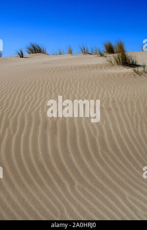 L'Espiguette plage en Languedoc Roussillon, Gard, Petite Camargue, France Banque D'Images