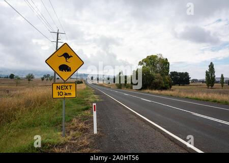 'Wombat kangourous et passage à niveau. 10km' le long d'une route en Australie. Banque D'Images