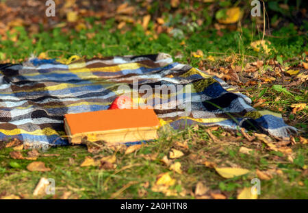 Sur le sol, jonché de feuilles jaunes, se trouve une couverture en laine Banque D'Images