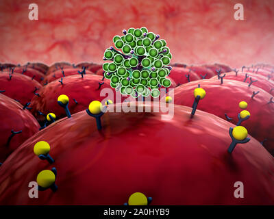 Domaine de cellules avec les récepteurs, leucocytes s'attaquent aux virus Banque D'Images