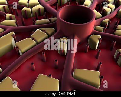 Virus pénètre dans la cellule, les maladies du foie, attaque de virus les poumons, le processus d'infecter les cellules Banque D'Images