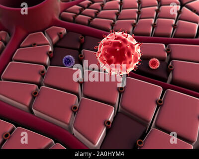 Virus pénètre dans la cellule, les maladies du foie, attaque de virus les poumons, le processus d'infecter les cellules Banque D'Images